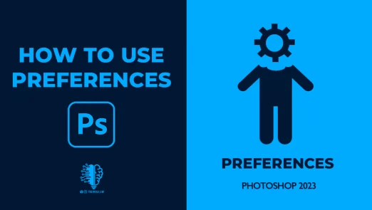 shakhes-preferences