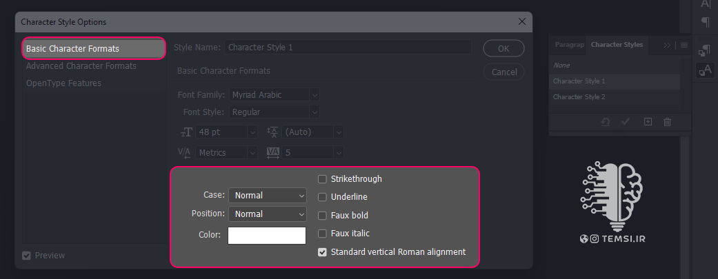 basic-character-formats2