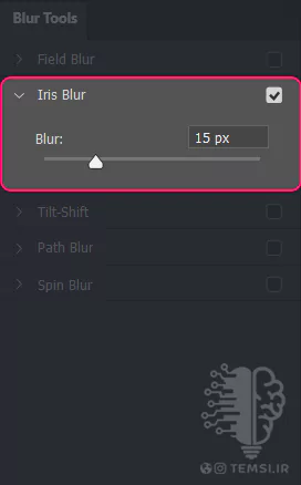photoshop-2024-filter-Blur Gallery-iris blur