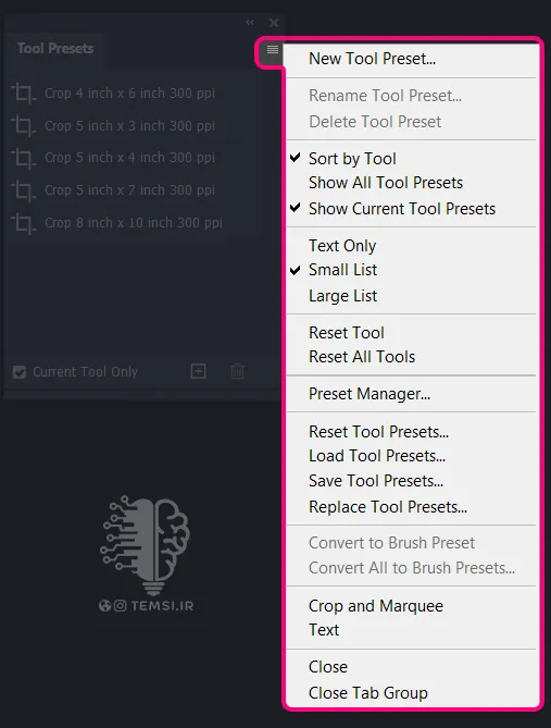 گزینههای پیشرفته منوی همبرگری در پنل Tool Presets