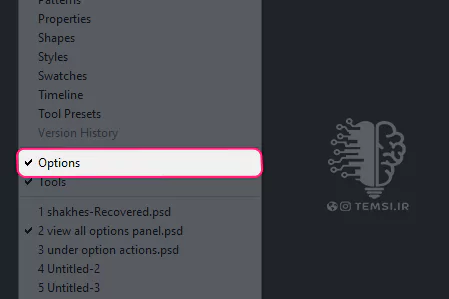 options-in-menu