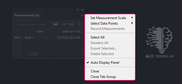 options-in-panel